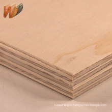 poplar core wood for packaging